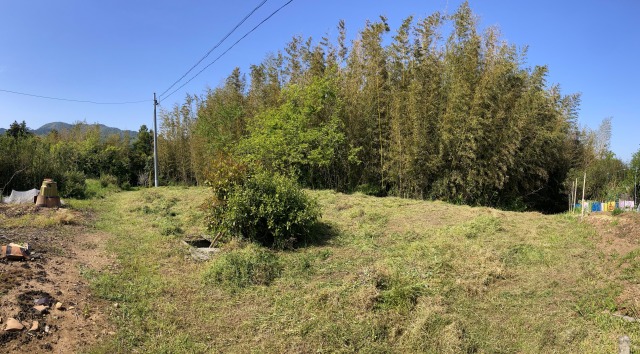 kusakari_after