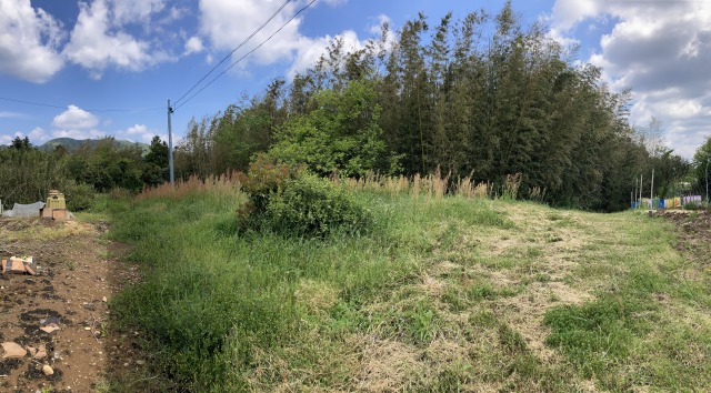 kusakari_before