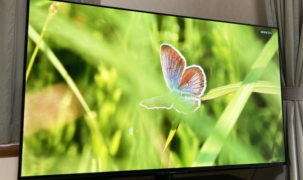 tv02