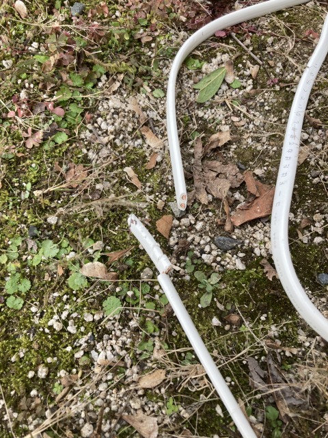 0027farming-pruning10