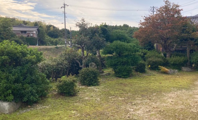 0027farming-pruning11